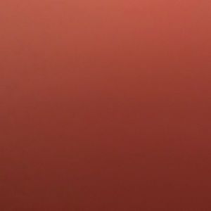 Meet your Posher, Allan